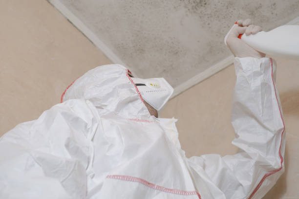 Port Morris, NJ Mold Removal Company